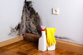 Trusted Greenwood, AR Mold Remediation Experts